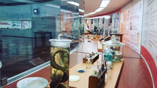 Museo de Ciencias Naturales “Arturo Humberto Illia”