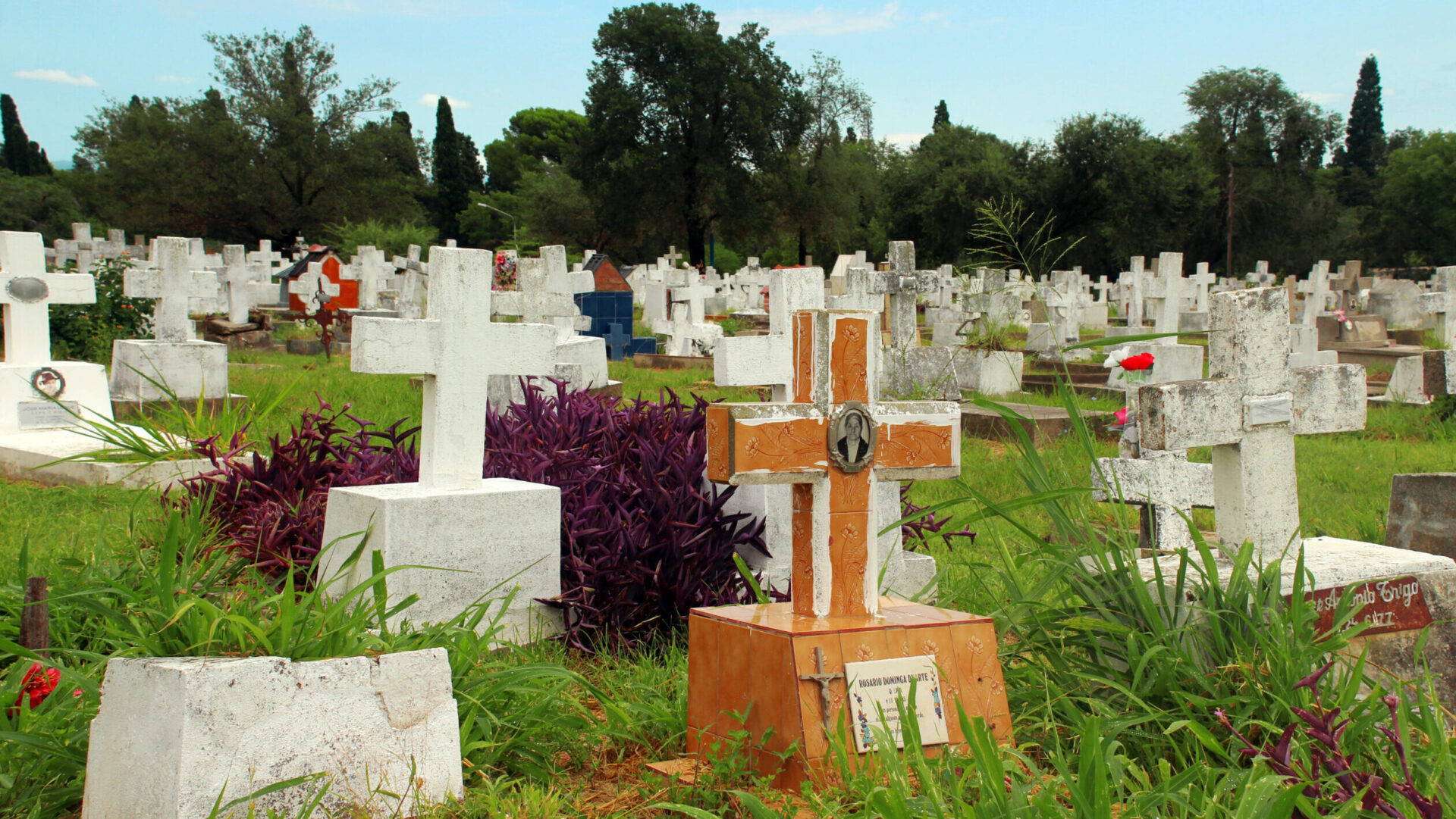 Cementerio San Vicente