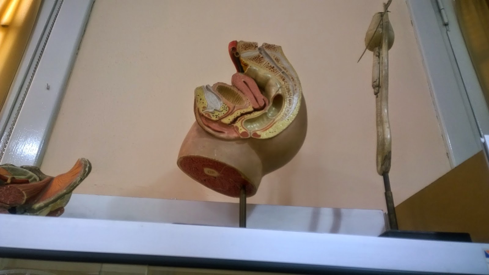 Museo del Niño y la Mujer