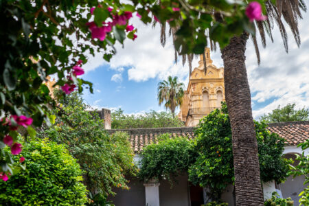 Museo Juan de Tejeda