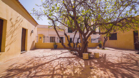 “Córdoba de los patios”, nueva experiencia turística para conocer la ciudad