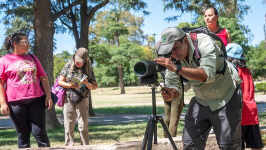 Fin de semana largo: caminata gratuita y avistaje de aves por el río Suquía